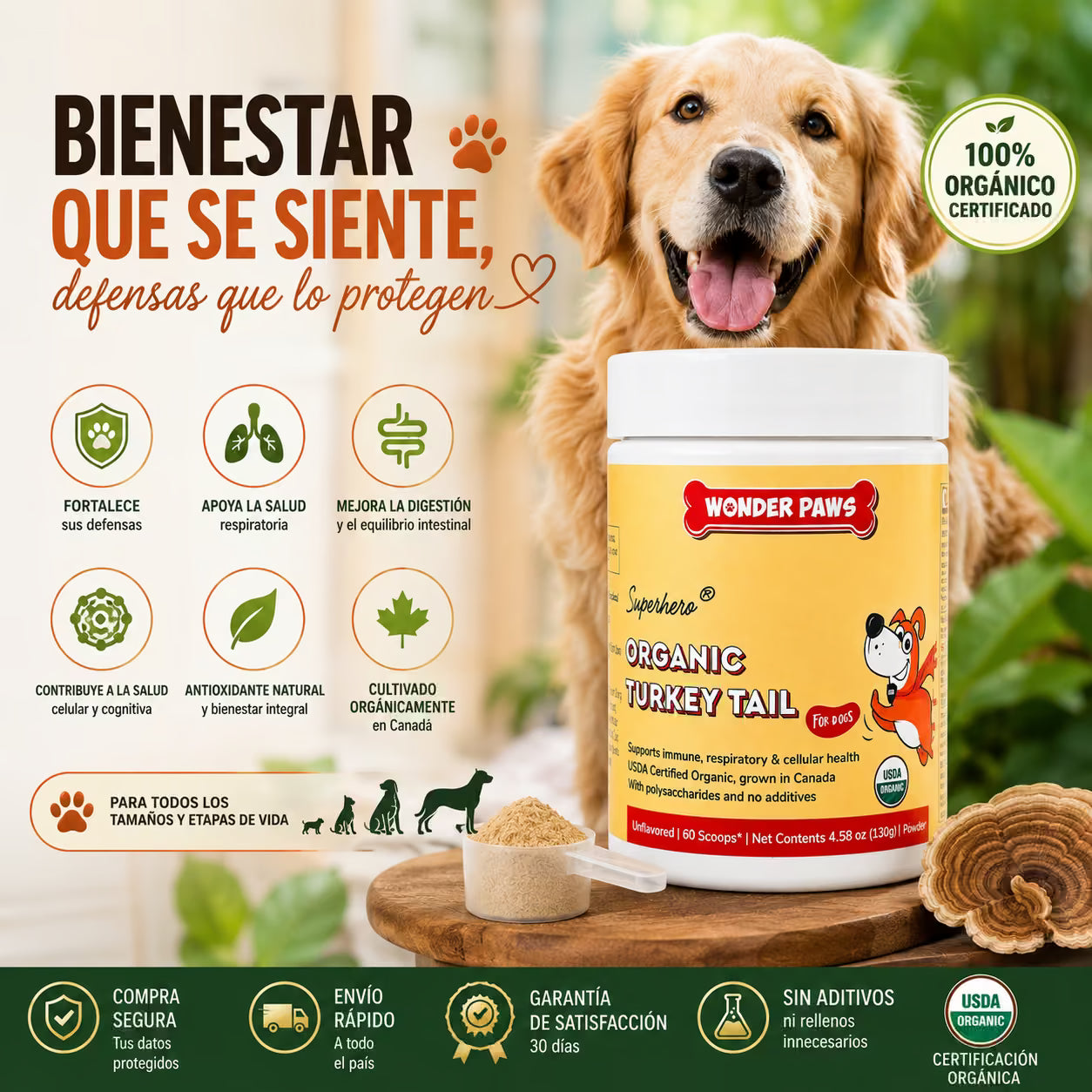 Sumplemento Orgánico Turky Tail - Fortalece las Defensas y la Salud Digestiva