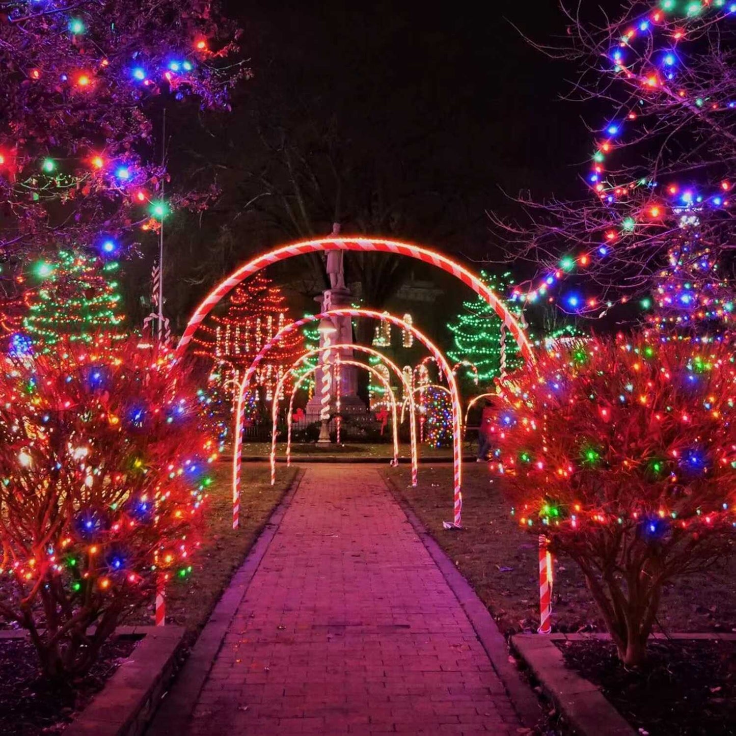 200 Luces LED Navideñas Con Panel Solar Con 50% OFF por Black Friday - Gratis Serúm de Ácido Hialurónico Gold